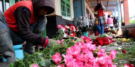 Berkah Hari Valentine bagi petani bunga mawar