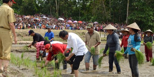 OJK nilai bank tani ide Jokowi belum dibutuhkan