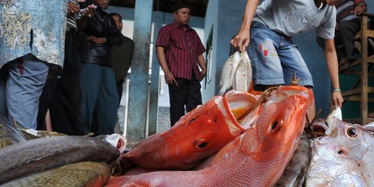 Menteri Susi klaim ekspor tuna kaleng naik 20 persen