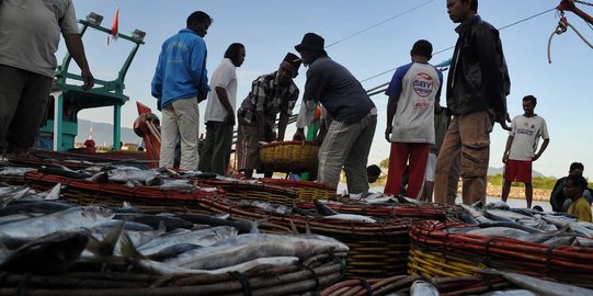 Cuaca buruk, harga ikan laut di Aceh melambung