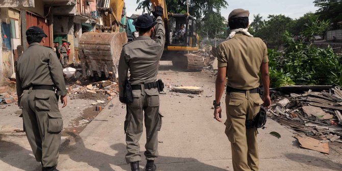 Di Kupang Hewan Ternak Berkeliaran Di Jalan Ditangkapi Satpol Pp