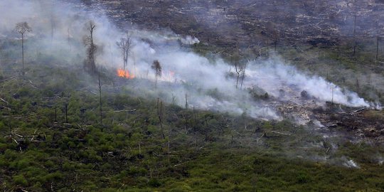 Diduga bakar lahan 25 hektare, petani di Inhil ditangkap Polisi