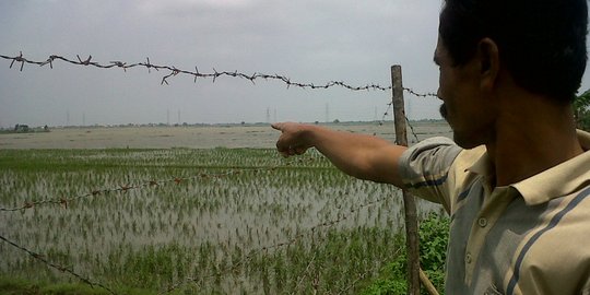 Bengawan Solo meluap, ratusan hektar sawah di Sragen terendam