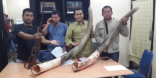 Tradisi Belis, budaya 'mencekik leher' warga NTT