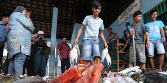 Musim hujan stok turun 20 persen, DKI Jakarta impor ikan laut