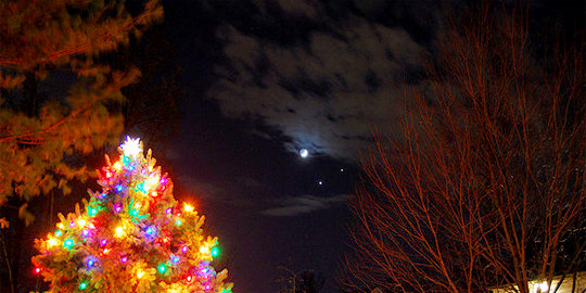 nenek moyang manusia