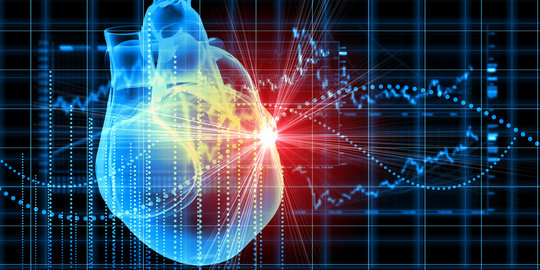 Ini protein yang membuat jantung tetap berdetak stabil