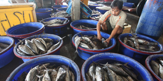 Pasar ikan Muara Baru bakal disulap seperti di Jepang dan Korsel