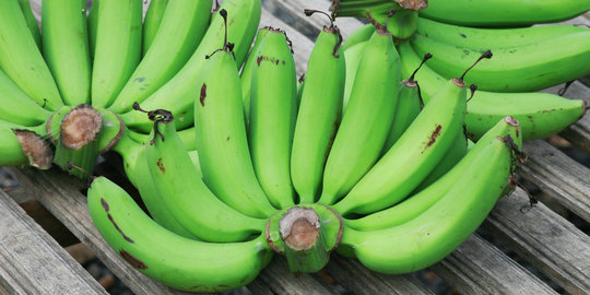 Makan tepung pisang hijau, cara enak turunkan berat badan