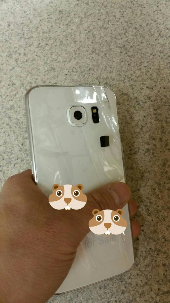 prototipe samsung galaxy s6