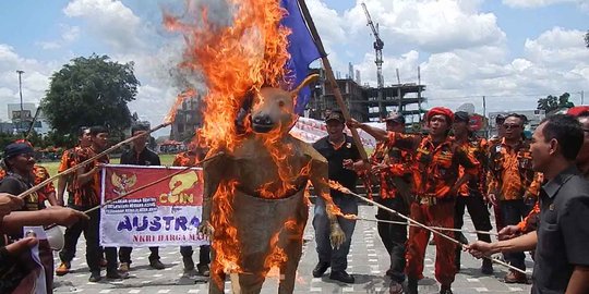 Kecam Australia, Pemuda Pancasila Purwokerto bakar kanguru