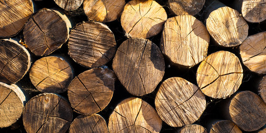Jual kayu, laba bersih Perhutani 2014 naik 86 persen