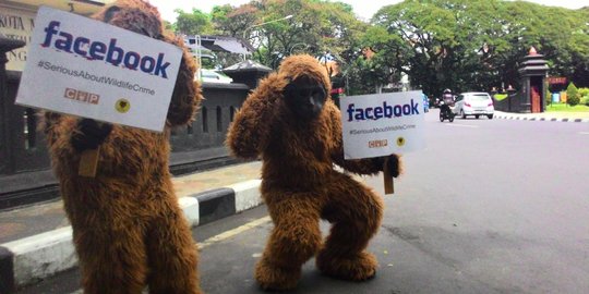 Penjualan satwa dilindungi marak di Facebook, 'Orangutan' gelar demo