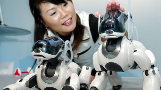 robot anjing aibo