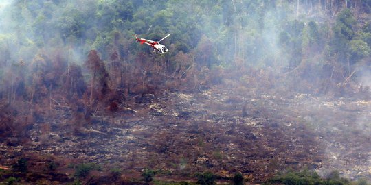 Kebakaran hutan & lahan meluas, BMKG deteksi 55 titik api di Riau
