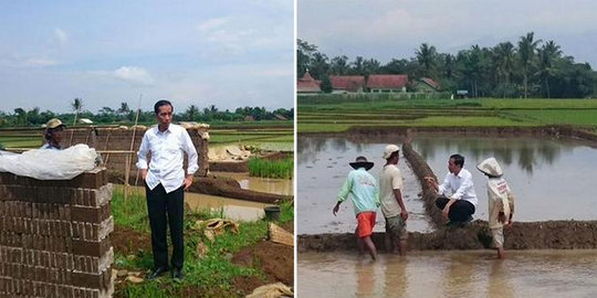 Tinjau panen raya, Jokowi sempatkan nikmati sate legendaris Ponorogo