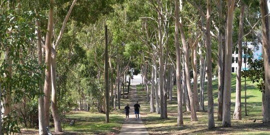 Ini lokasi wanita India ditikam hingga tewas di Taman Sydney