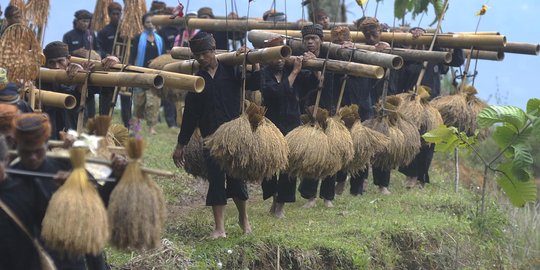 Panen raya, harga beras di Kabupaten Bogor diprediksi kembali normal