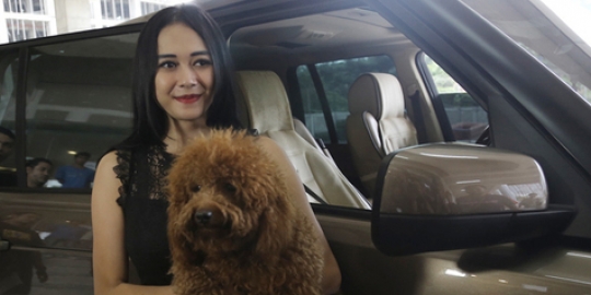 Aura Kasih Punya Anjing Lucu Yang Mirip Banget Sama Boneka!