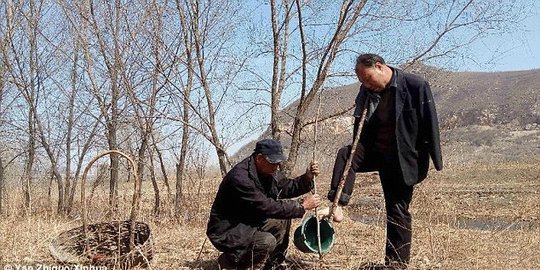 Buta dan tak punya lengan, dua pria ini tanam 10 ribu pohon di China