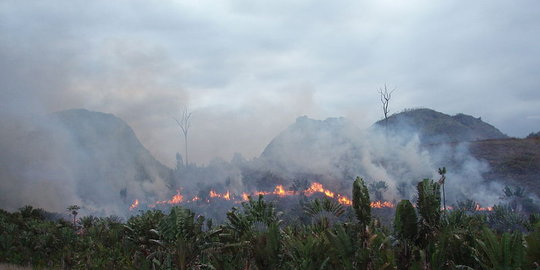 lima kota ini dijuluki 'kota terjorok' di dunia