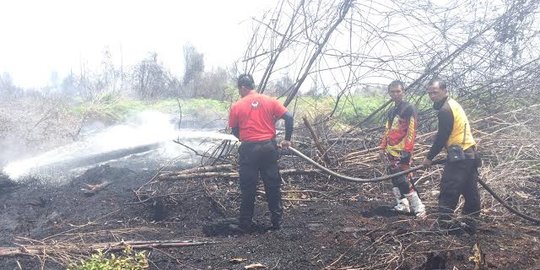 Kebakaran hutan Bengkalis, Polres Bengkalis berjibaku padamkan api