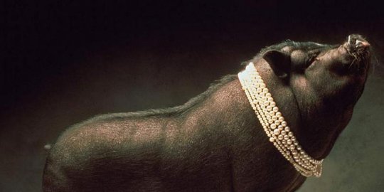 siluman pencuri uang rev4