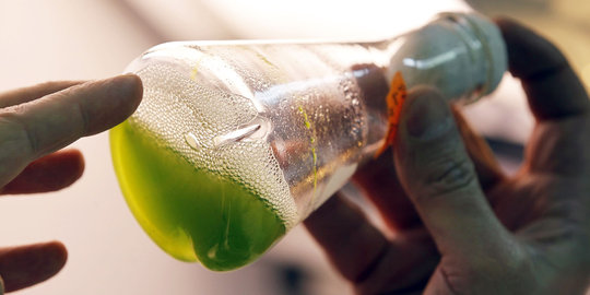 Pemerintah ubah kewajiban penggunaan biofuel jadi 15 persen