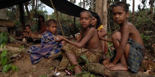 Tragis, belasan Suku Anak Dalam meninggal karena kelaparan di hutan