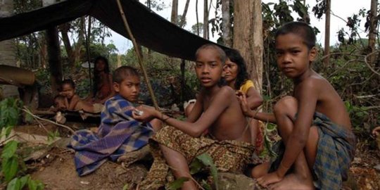 Suku Anak Dalam tewas kelaparan, pemerintah cuma kasih sembako