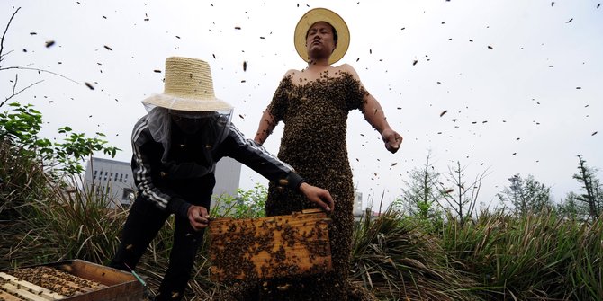 Disengat lebah, petani di Gunungkidul tewas dengan tubuh lebam