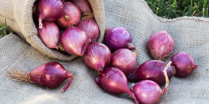 Gejolak harga beras mereda, giliran bawang merah melonjak 