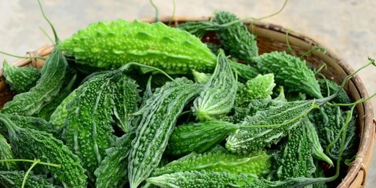 ciptakan baterai dari pare rev1