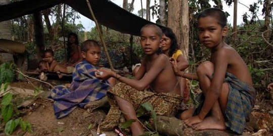 Cerita tragis belasan warga Suku Anak Dalam mati kelaparan di hutan