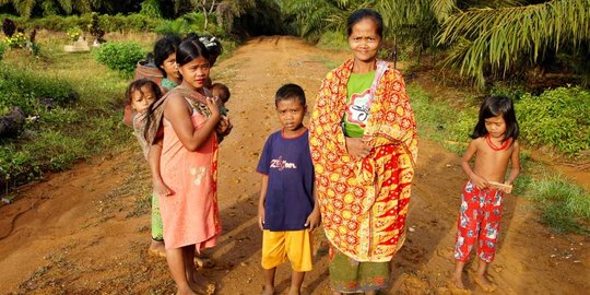 suku anak dalam mati kelaparan karena terusir rev3