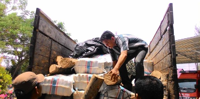 Polisi Aceh gagalkan pengiriman 4,8 ton ganja bermodus batang kayu