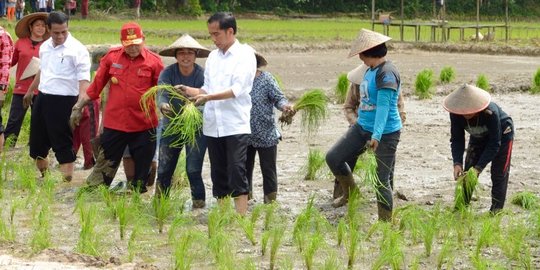 DPR tak heran Jokowi buka keran impor beras