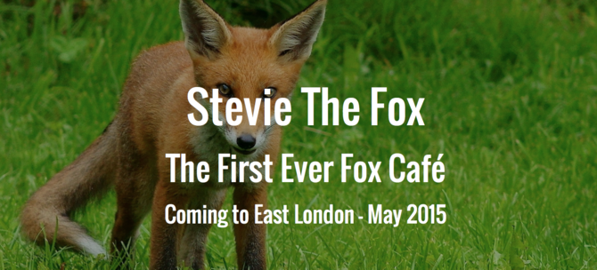 stevie the fox