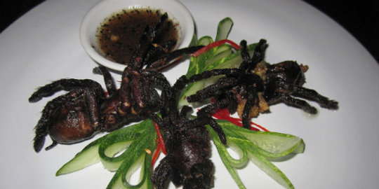 goreng rev3