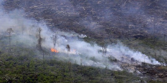 Kebakaran hutan Riau, 40,8 Ton garam ditaburkan untuk hujan buatan