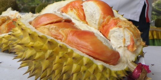 Durian merah Banyuwangi paling diburu, Risma sempat 'todong' Anas