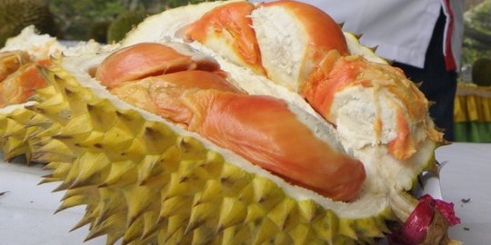Awalnya, ditemukan 1 pohon durian merah di Banyuwangi