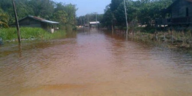 Sungai meluap, akses jalan dan ekonomi warga Pelalawan lumpuh