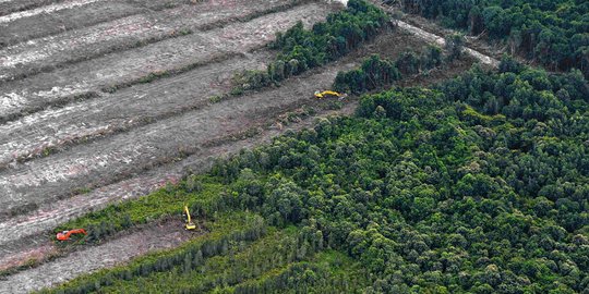 Pembangunan tak boleh merusak hutan