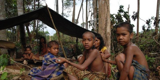 Gubernur Jambi berharap orang rimba punya rumah dan menetap