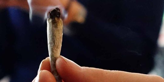 Pengedar ganja dibekuk saat istirahat di rumah, 29 paket diamankan