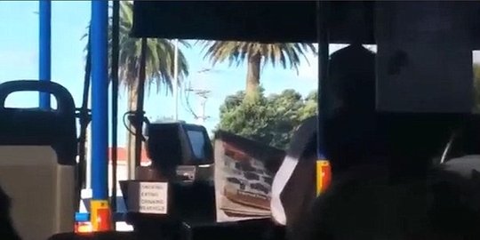 Sopir bus ini ketahuan menyetir sambil baca koran