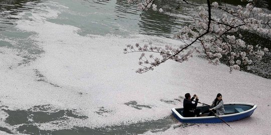 Suasana romantis mendayung perahu di parit Chidorigafuchi