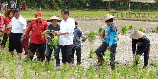 Pemerintah Jokowi mau pindahkan ibukota ke Sampit atau Pangkalan Bun