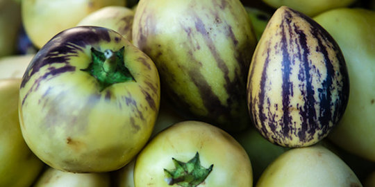 7 Khasiat buah pepino yang jarang diketahui